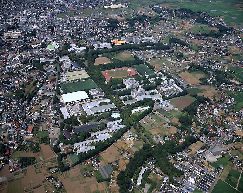 東海大学